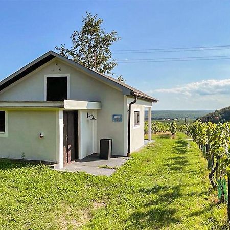 Schoenes Ferienhaus Eisenberg Eisenberg an der Pinka ภายนอก รูปภาพ