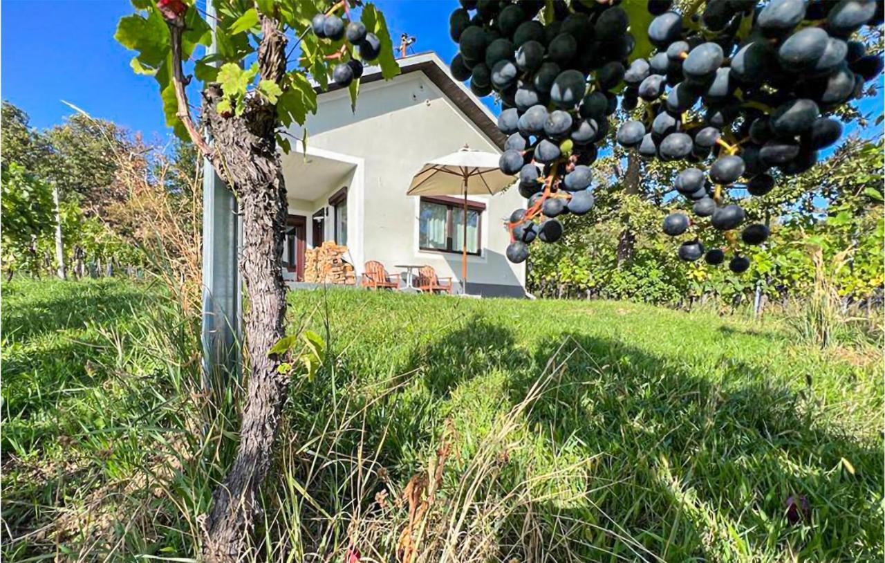 Schoenes Ferienhaus Eisenberg Eisenberg an der Pinka ภายนอก รูปภาพ